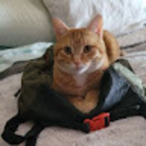 Meet your Posher, Robert